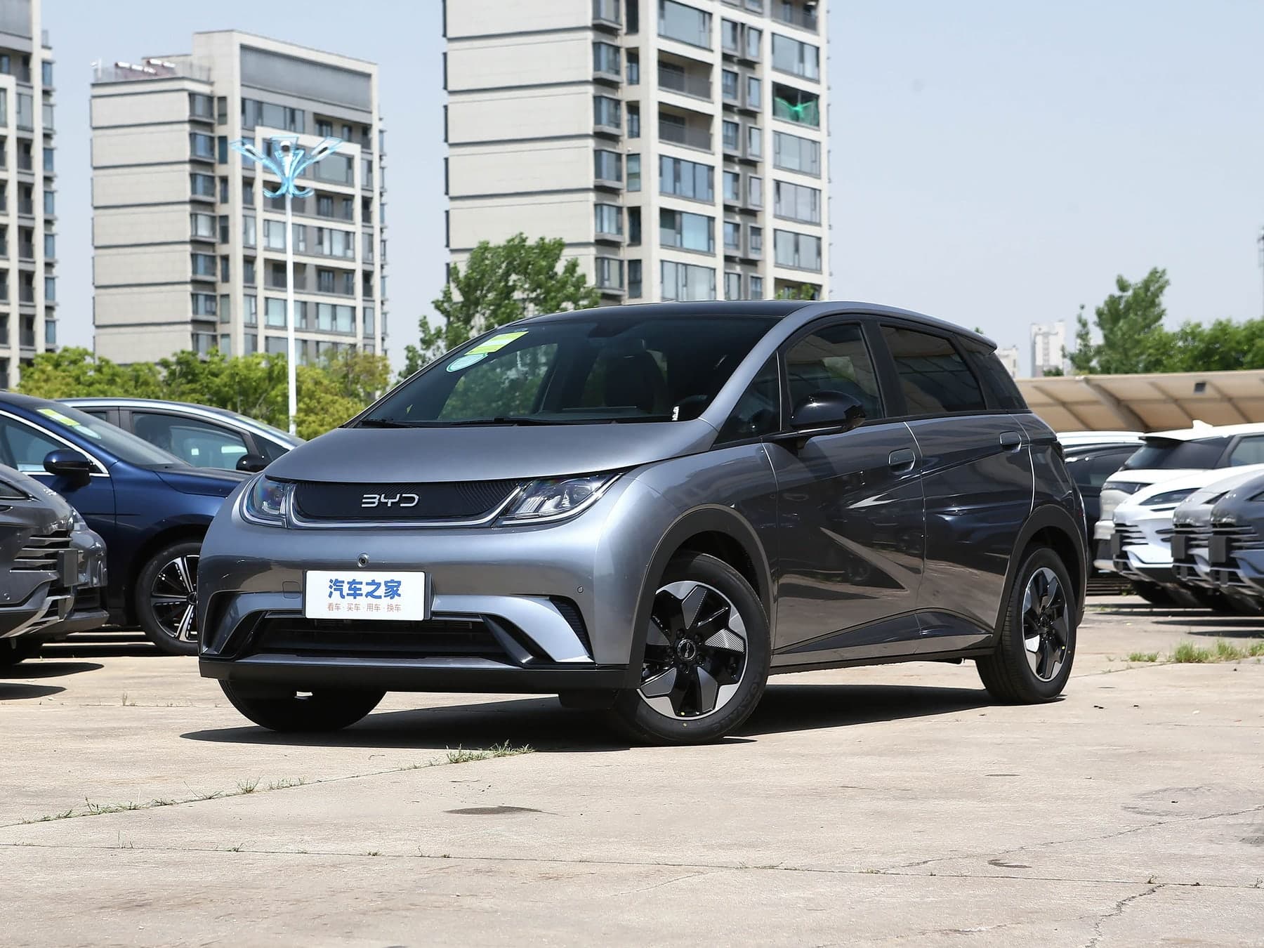 BYD Dolphin: фото автомобиля
