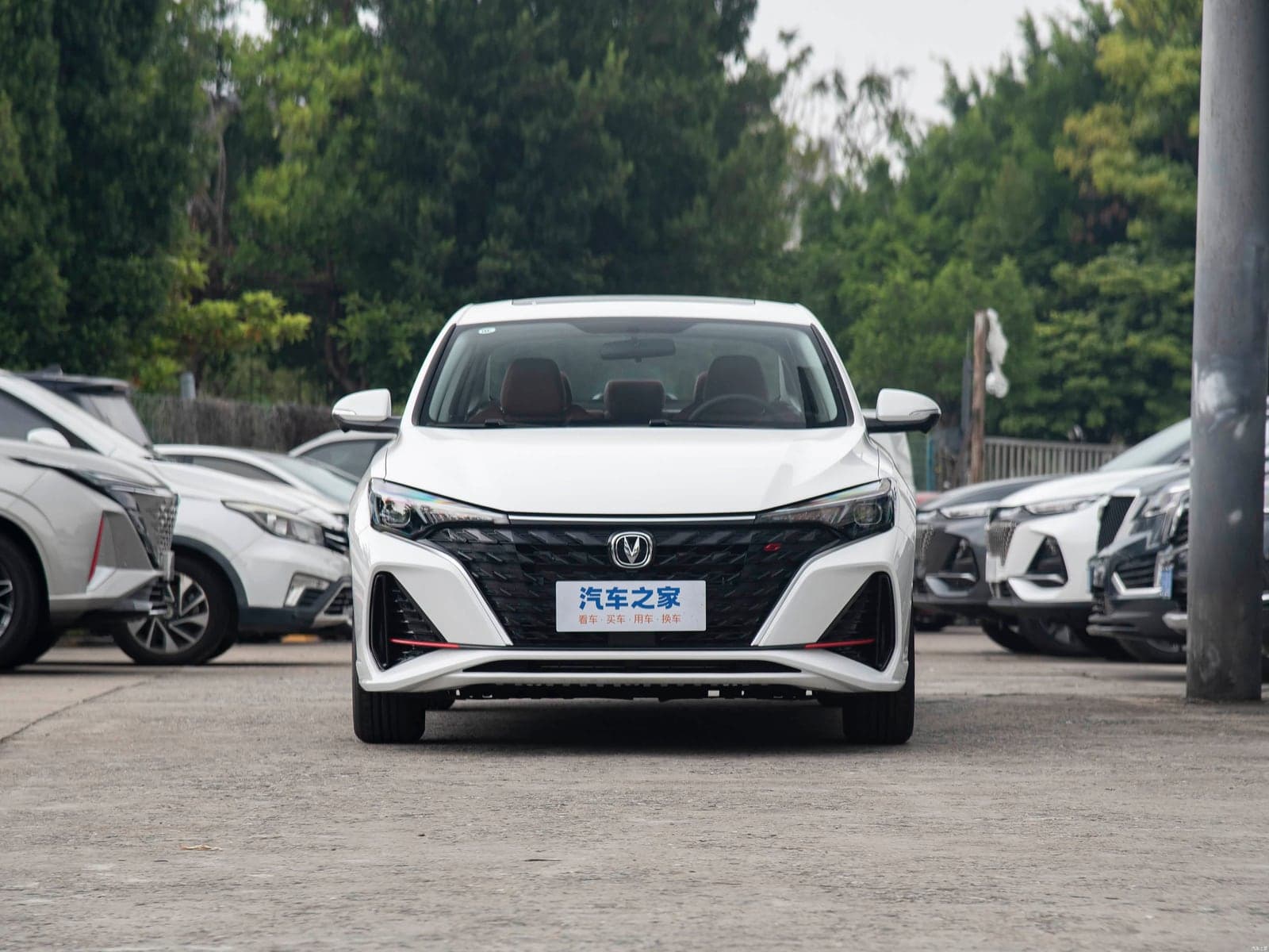 Changan Eado PLUS — реальное фото 2