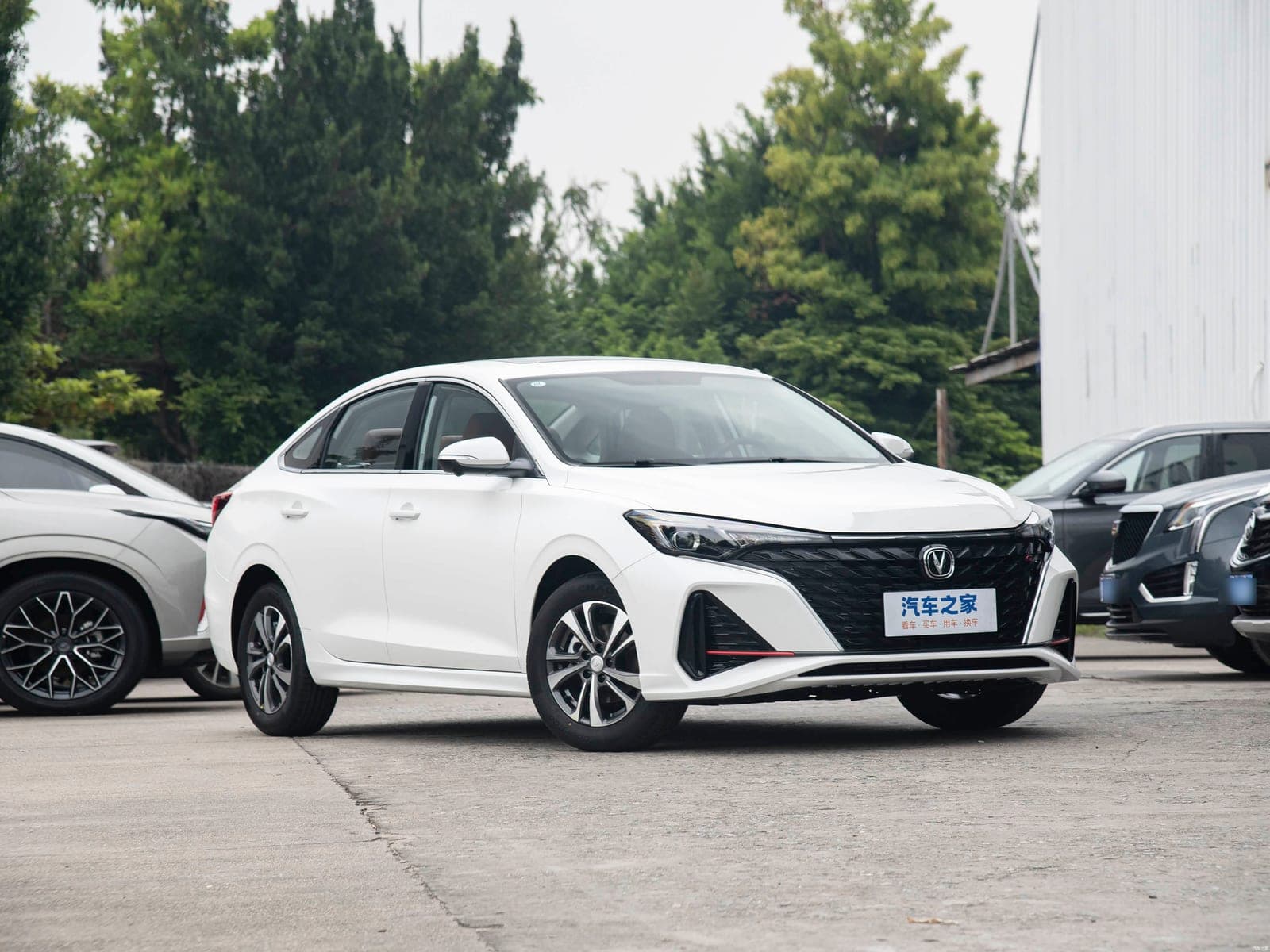 Changan Eado PLUS — реальное фото 3