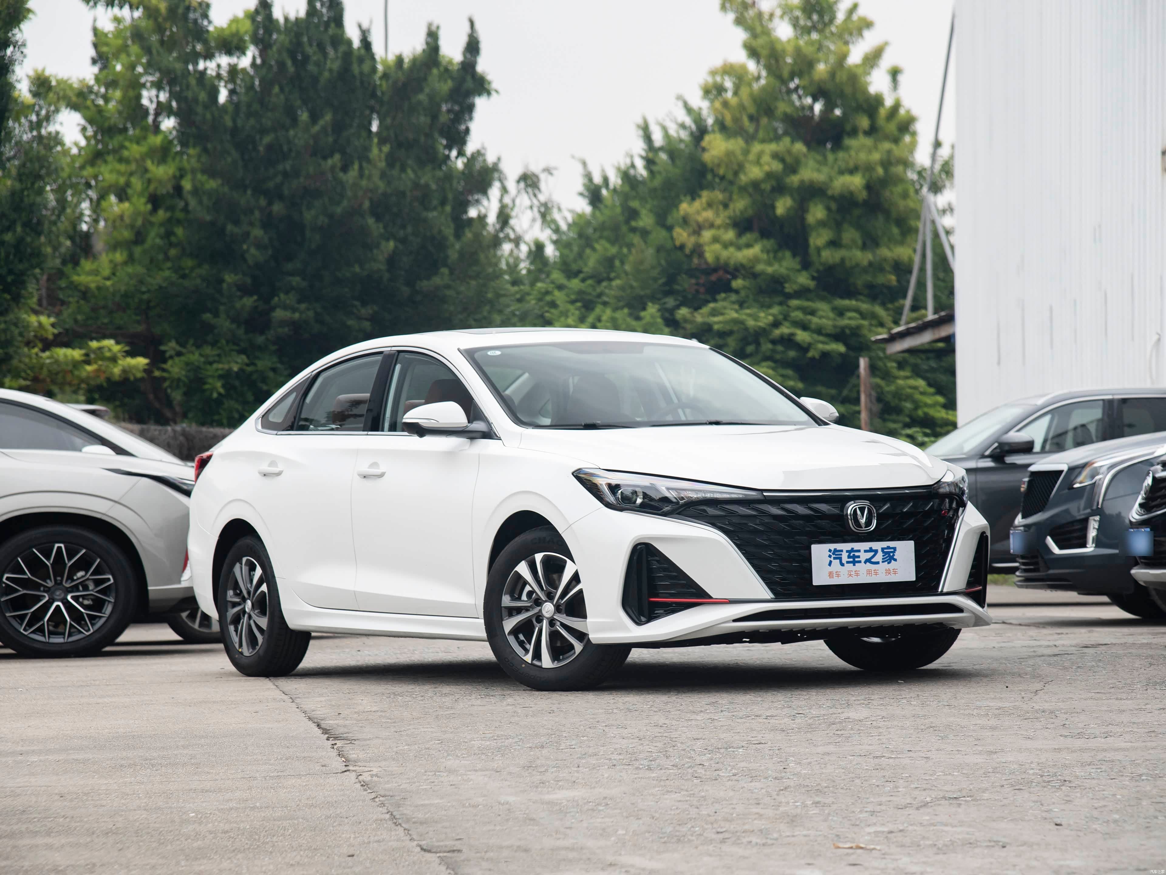 Changan Eado PLUS — реальное фото 3