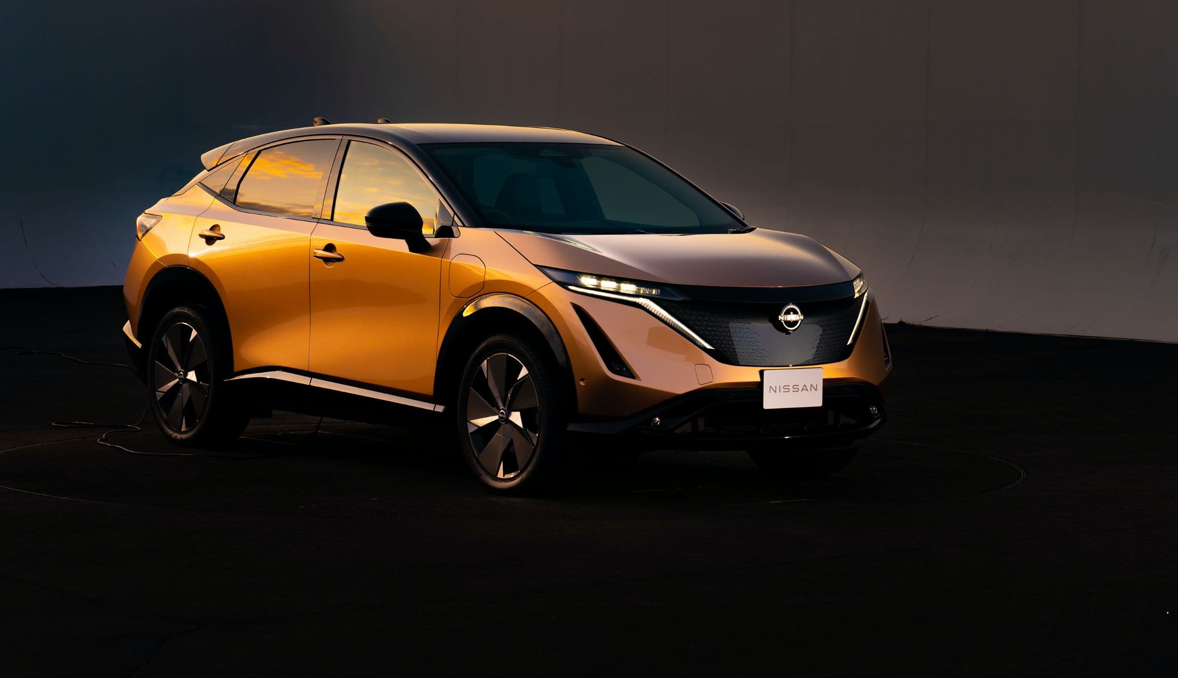 Nissan Ariya — реальное фото 1