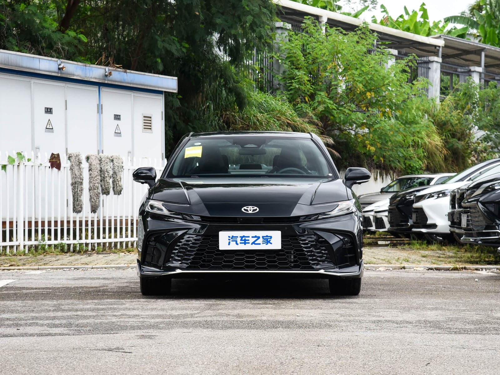 Toyota Camry — реальное фото 2