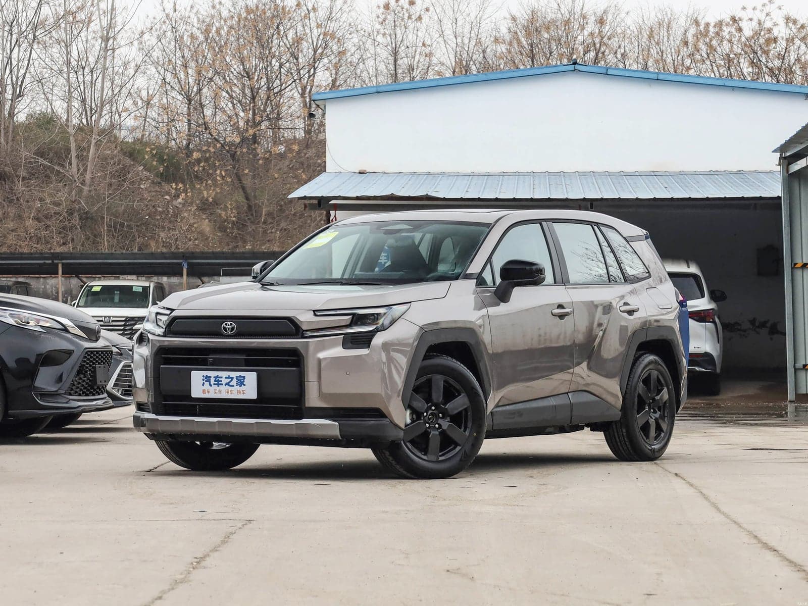 Toyota RAV4 — реальное фото 1