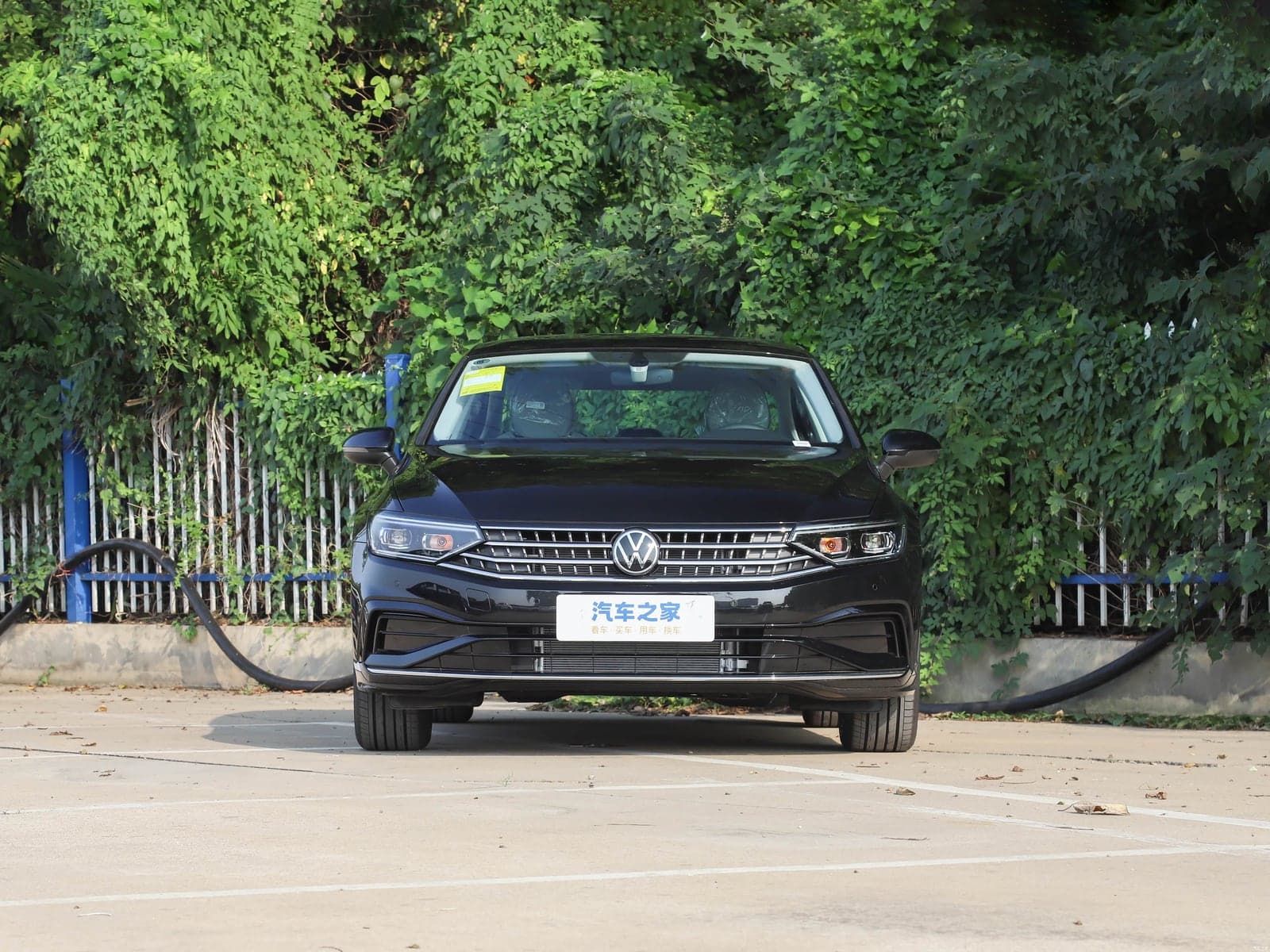 Volkswagen Magotan — реальное фото 2